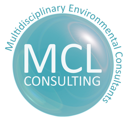 McLorinan Consulting